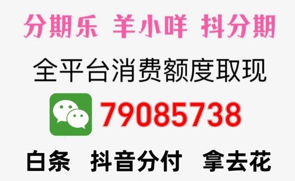 京东白条怎么提现最新10个提现步骤和方法京东白条作为京东金融旗下的一款产品，受到了广大消费者的喜爱